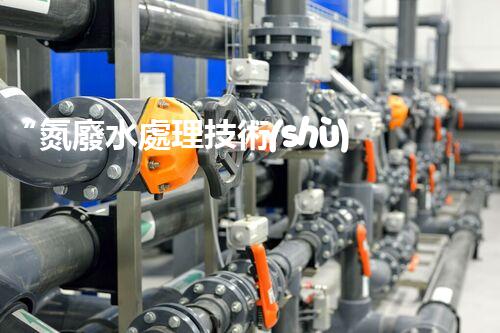 “氮廢水處理技術(shù)革新，綠色環(huán)保新篇章”